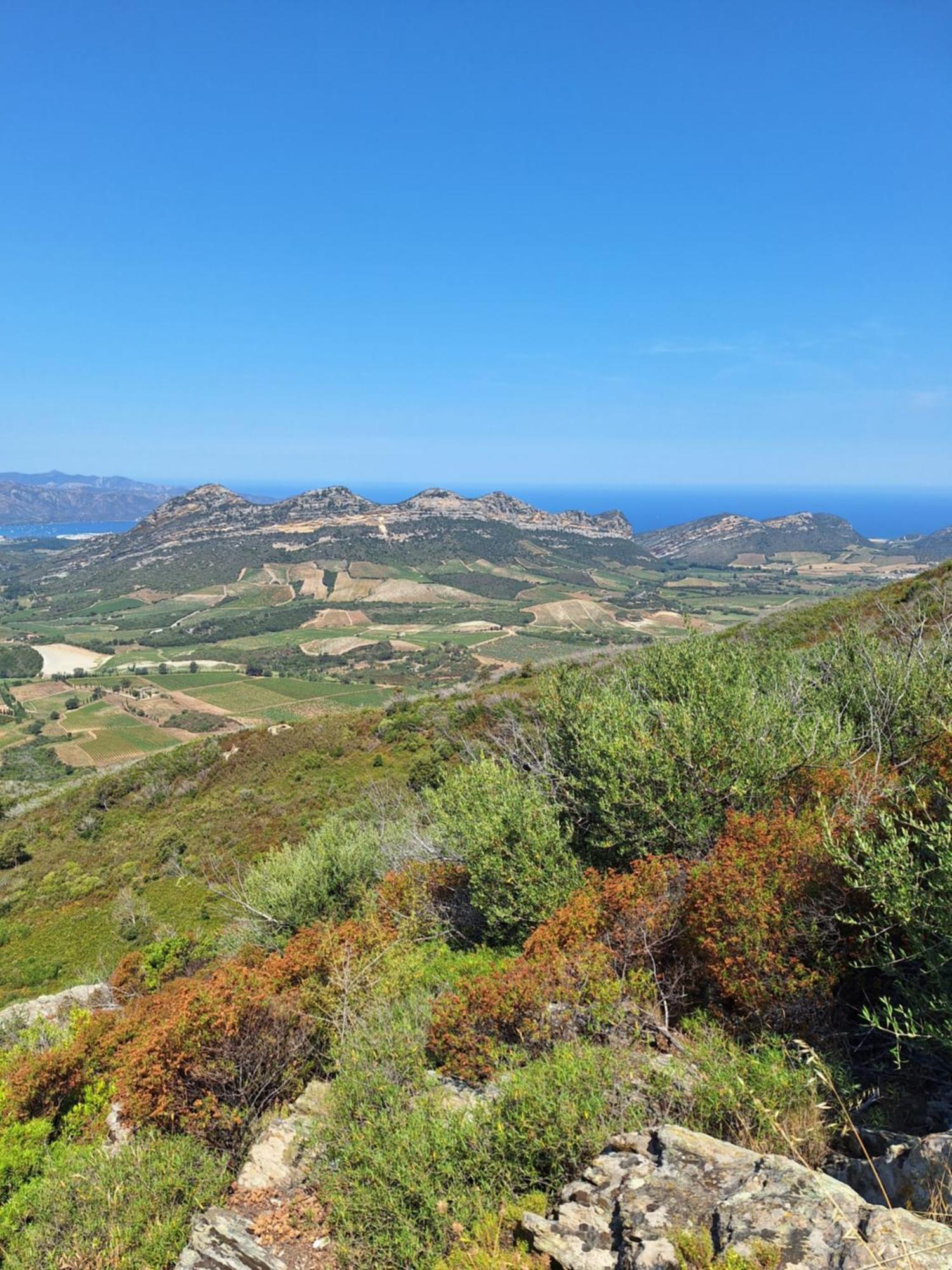Le Clos Osteria Barbaggio Luaran gambar