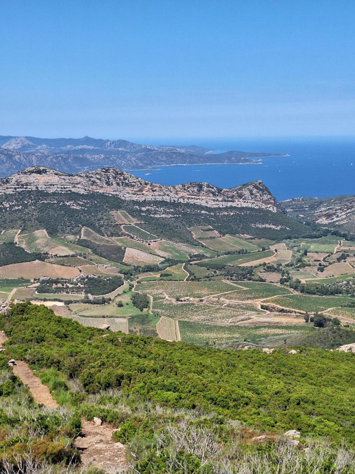 Le Clos Osteria Barbaggio Luaran gambar